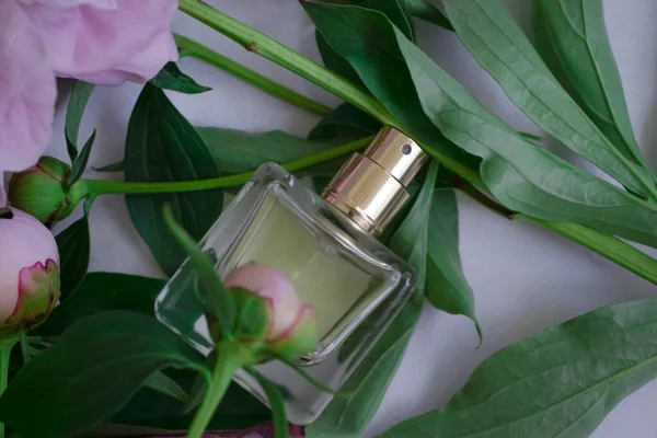 Bottle Perfume Flower Peony — Stock Photo, Image
