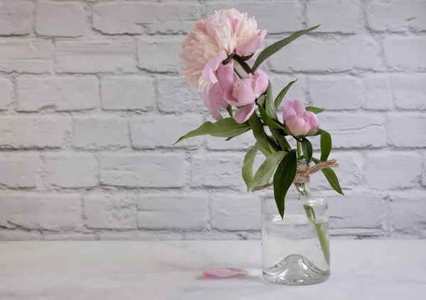 Beautiful Peony Flower Vase Old Background — Stock Photo, Image