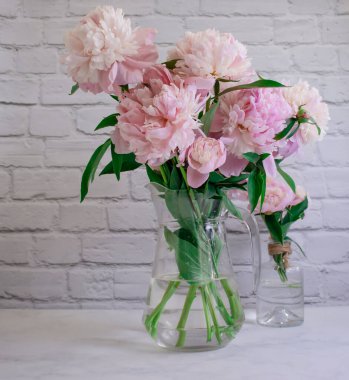 Eski bir arka planda vazoda güzel bir şakayık çiçeği