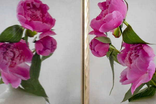 Peony Flower Vase Mirror Light Background — Stock Photo, Image
