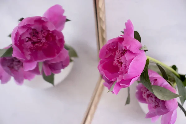 Peony Flower Vase Mirror Light Background — Stock Photo, Image