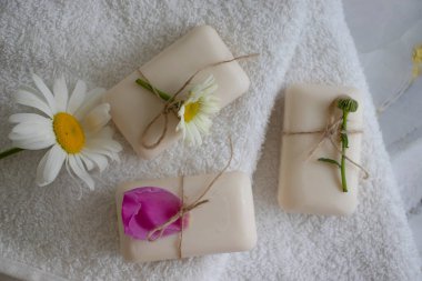 Sabun kozmetik çiçeği papatya çayı, hafif arka planda şakayık.