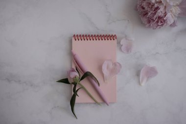 Not defteri, kalem, fonda şakayık çiçeği