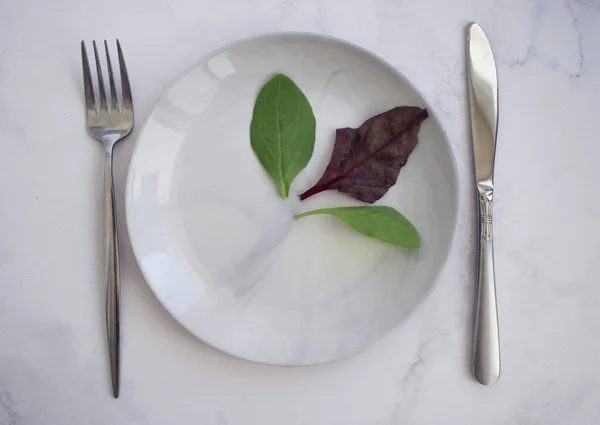 Lettuce Leaf Empty Plate Diet Concept — 스톡 사진