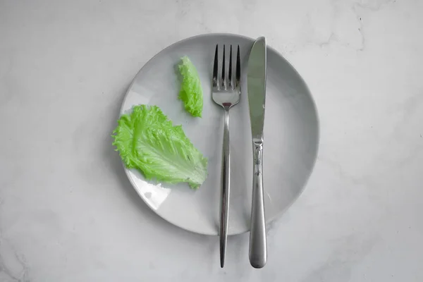 Lettuce Leaf Plate Light Background — 스톡 사진