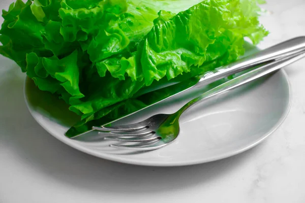 Lettuce Leaf Plate Light Background — Fotografia de Stock