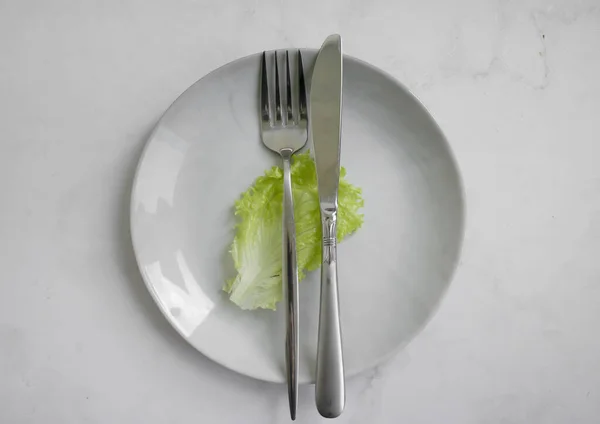 Lettuce Leaf Plate Light Background Royalty Free Stock Images