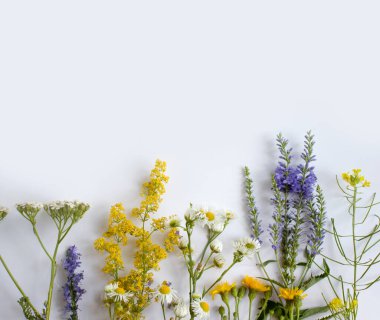 Summer flowers on a light background frame