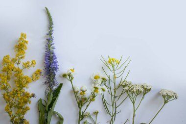 Summer flowers on a light background frame