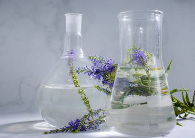 Laboratory flask, flower on a light background