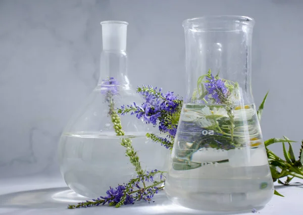 Laboratory Flask Flower Light Background — 스톡 사진