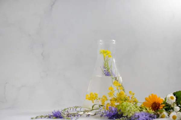 Laboratory Flask Flower Light Background — Foto de Stock