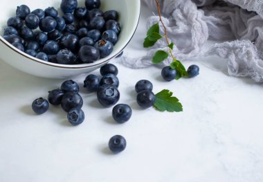Plate with fresh blueberries on a light background