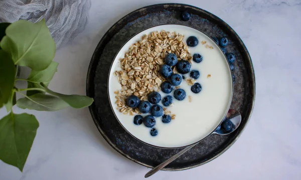 Yogurt Oatmeal Blueberries Light Background — Fotografia de Stock