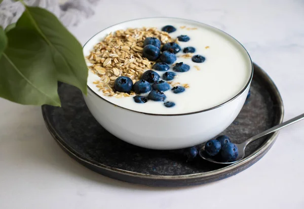 Yogurt Oatmeal Blueberries Light Background — Fotografia de Stock