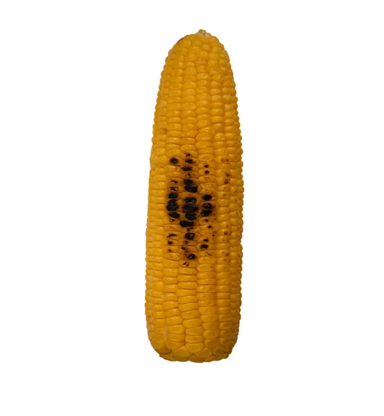 Grillezett Kukorica Elszigetelt Fehér Background — Stock Fotó