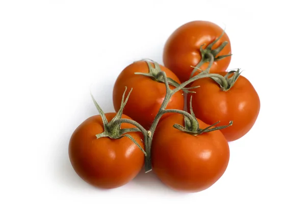 Rama Tomates Rojos Sobre Fondo Blanco —  Fotos de Stock
