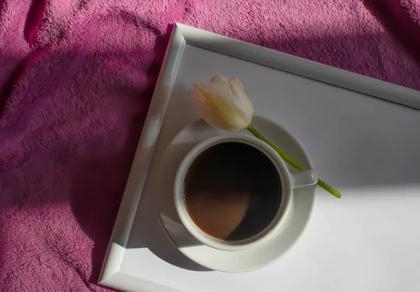 Cup Coffee Tulip Flower Room — Stock Fotó