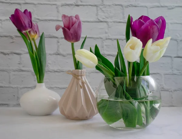 Tulip Flower Vase Room — стоковое фото