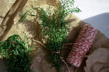 Green grass tarragon on old background