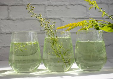 Water with tarragon grass on a light background