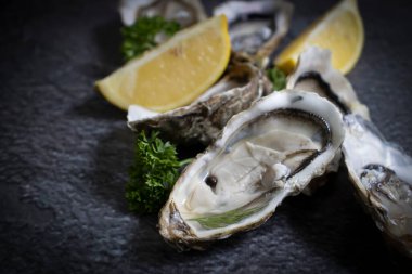 Oysters with lemon on old background