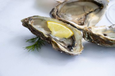 Oysters with lemon on old background