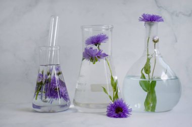 Laboratory flask, flower on a light background