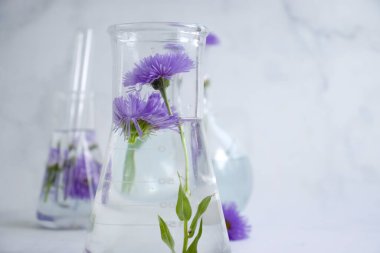 Laboratory flask, flower on a light background