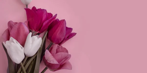 Bouquet Tulipes Fleurs Sur Fond Coloré — Photo