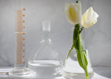 Laboratuvar matarası, arka planda lale çiçeği.