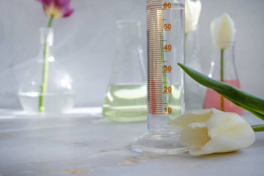 Laboratuvar matarası, arka planda lale çiçeği.