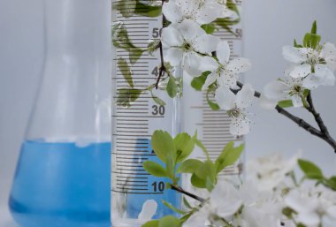 Işık arkaplan üzerinde laboratuvar şişesi çiçeği