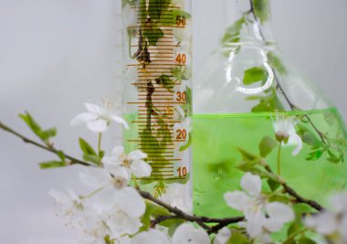 Işık arkaplan üzerinde laboratuvar şişesi çiçeği