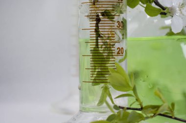 Işık arkaplan üzerinde laboratuvar şişesi çiçeği