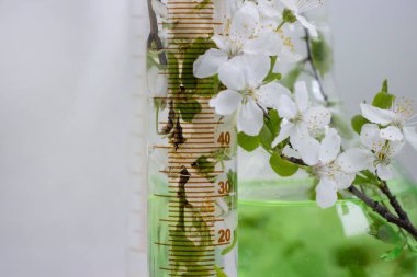 Işık arkaplan üzerinde laboratuvar şişesi çiçeği