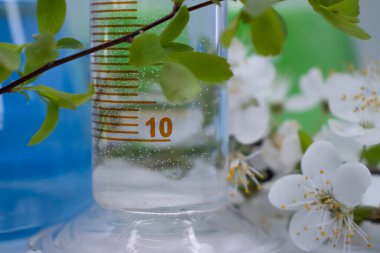 Işık arkaplan üzerinde laboratuvar şişesi çiçeği