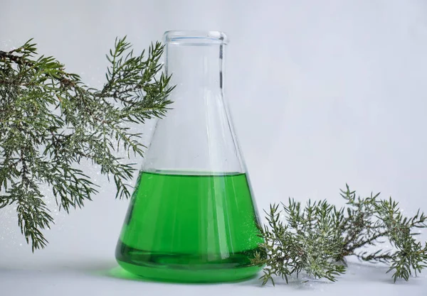 Christmas Tree Branch Laboratory Flask — Stock Photo, Image