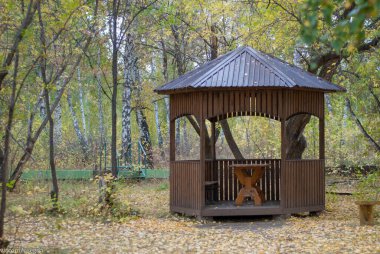 Şehirdeki parktaki eski ahşap ev