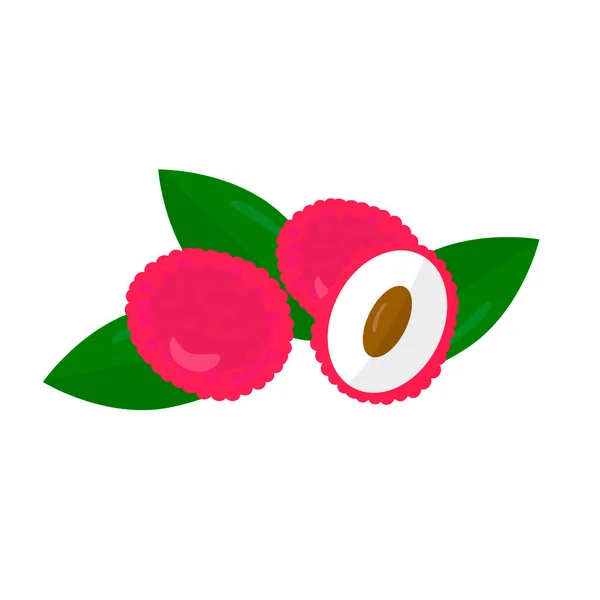 Lychee. Beyaz arka planda meyveler. Çizgi film yemek ikonu. Tropik meyveler.