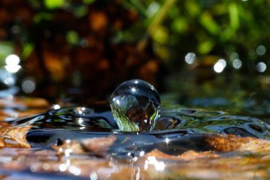 Doğal ortamda makro su damlacıkları
