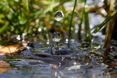 Doğal ortamda makro su damlacıkları