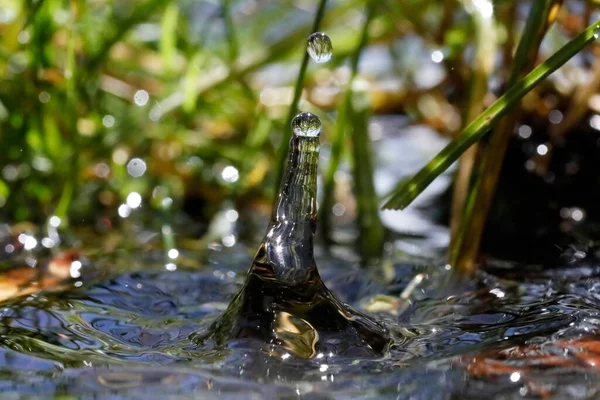 Doğal ortamda makro su damlacıkları