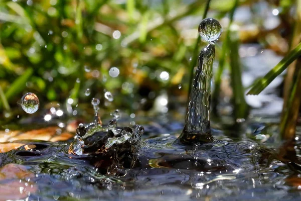 Doğal ortamda makro su damlacıkları