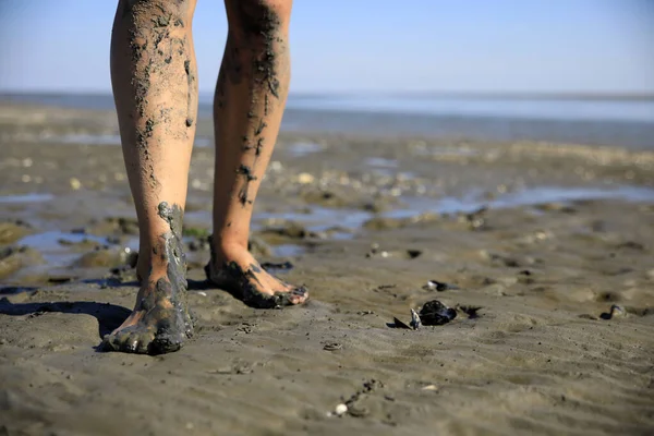 Hollanda, Waddensea 'nin çamurlu düzlüklerinde yürüyen genç bir kadının yakın çekimi.