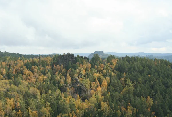 Золотая Осень Национальном Парке Красноярские Столбы — стоковое фото