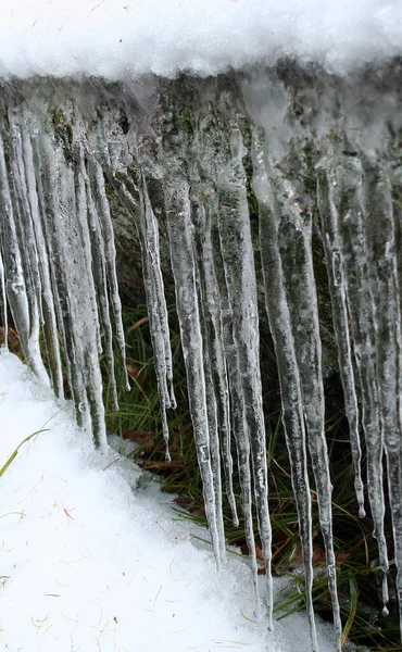 Ciclos Primeira Neve Após Degelo Outubro — Fotografia de Stock