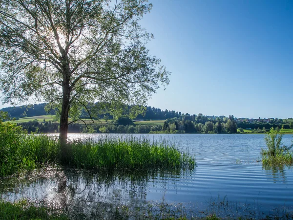 Vista Paisagem Lago Gruenten Com Aumento Nível Água Verão Com — Fotografia de Stock