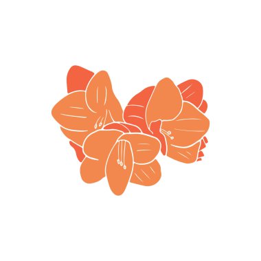 Düz elle çizilmiş çiçek tasarımı. Şirin Amarillis çiçeği. Soyut modern trend vektör çizimi. Posterler, sosyal ağ gönderileri, çıkartmalar ve kartlar için mükemmel.