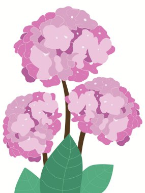 Şirin ortancaları olan çağdaş duvar resimleri. Modaya uygun bir iç mekan posteri. Modern botanik sanat eserleri, kartlar. Renkli düz grafik vektör çizimleri